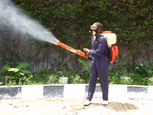 Why Professional Pest Control Is Very Safe