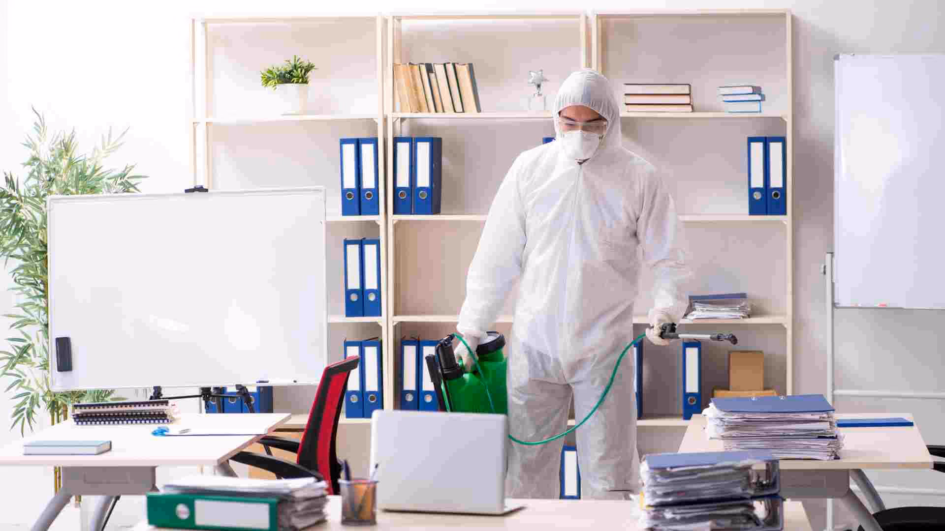 best practices for termite resistant construction in heritage properties