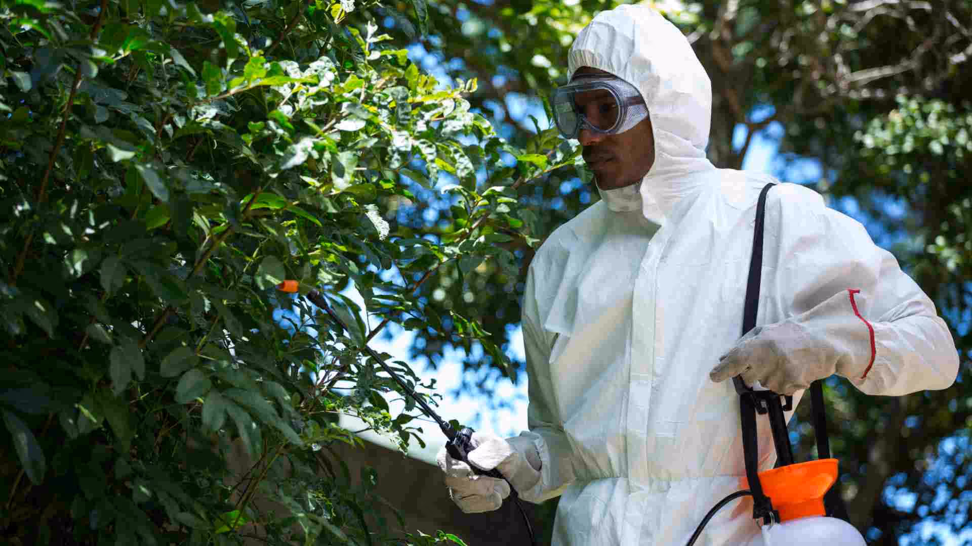 garden pest in vancouver your ultimate guide