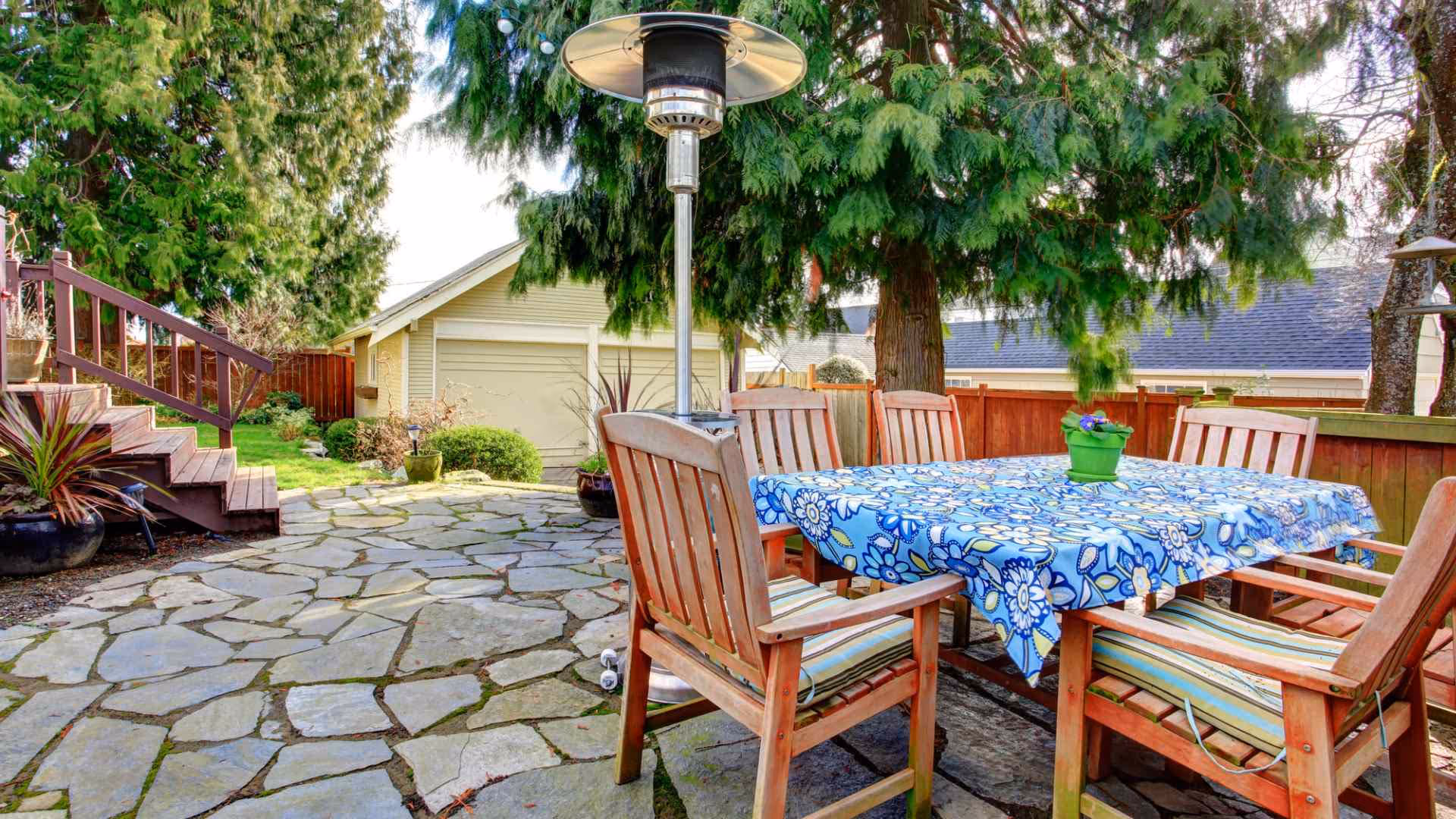here is how to dine wasp free outside your house in vancouver