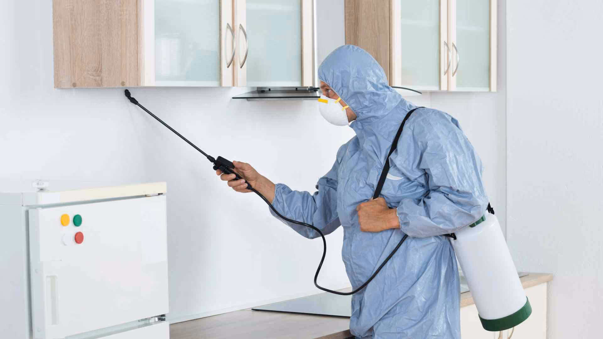 landlord vs tenant who pays for bed bug treatment in vancouver
