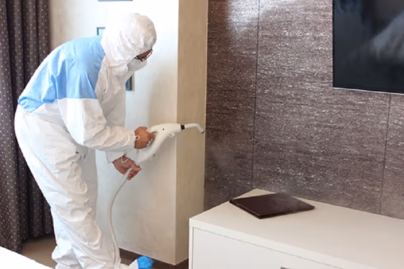 How Long Should You Stay Out of the House After Pest Control Treatment?