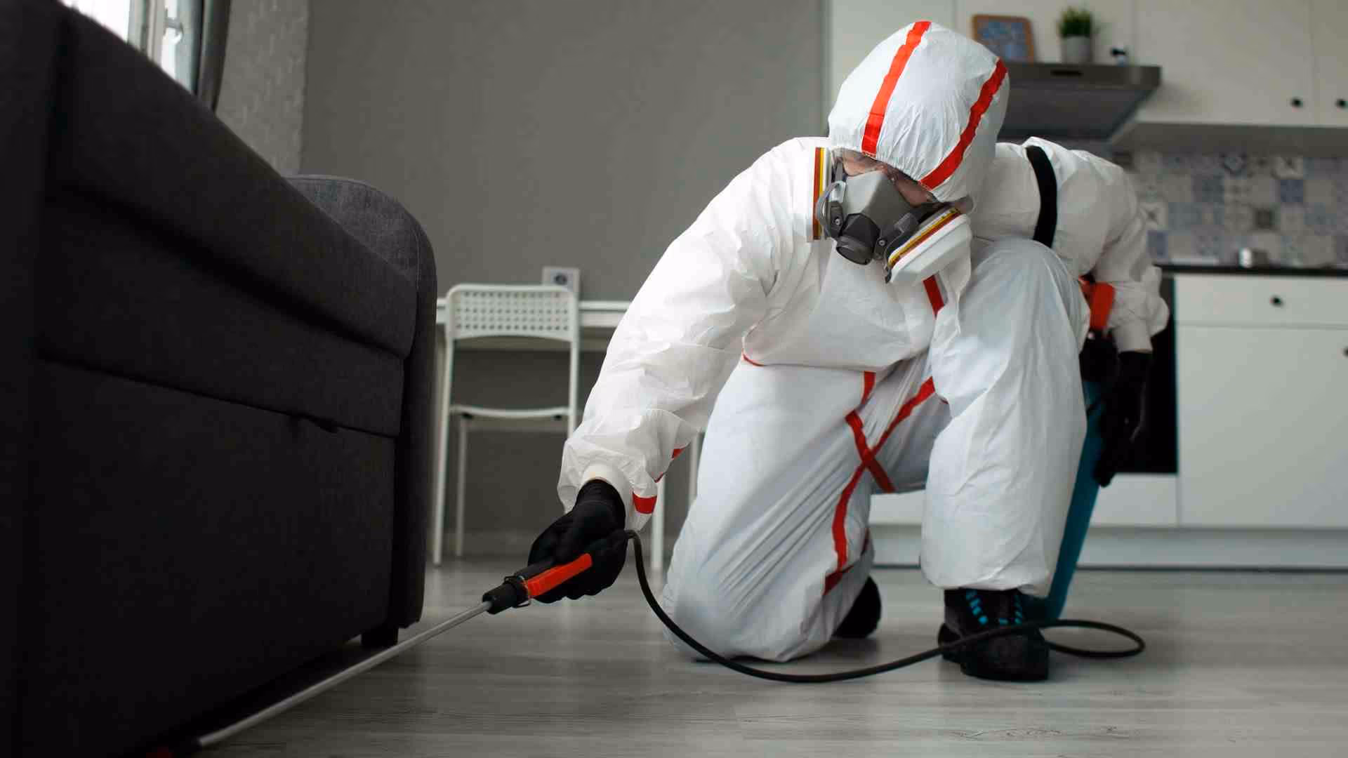the dangers of using pesticides in schools and alternative pest control methods