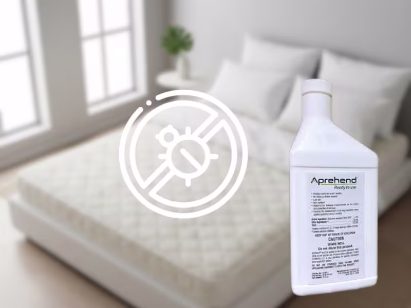 Pesticon Apprehend biopesticide bed bug treatment in Vancouver