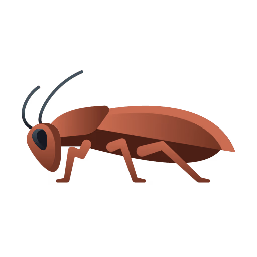 Cockroach control Burnaby
