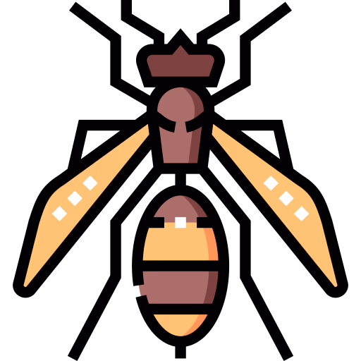 Hornet control Burnaby