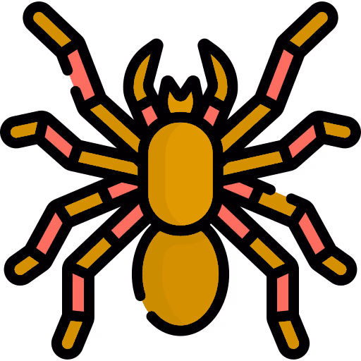 Spider control Burnaby