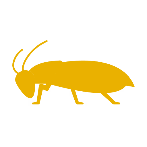 Cockroach control Langley