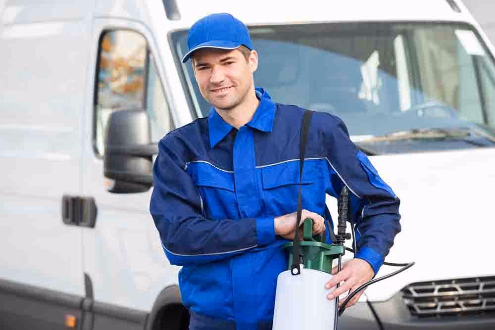 Expert commercial pest control Langley