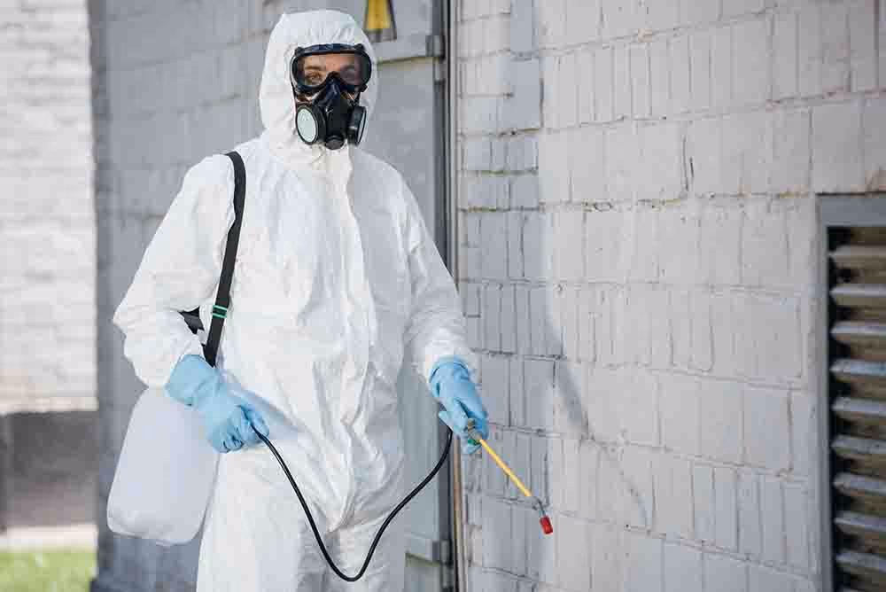 Guaranteed commercial pest control in Langley
