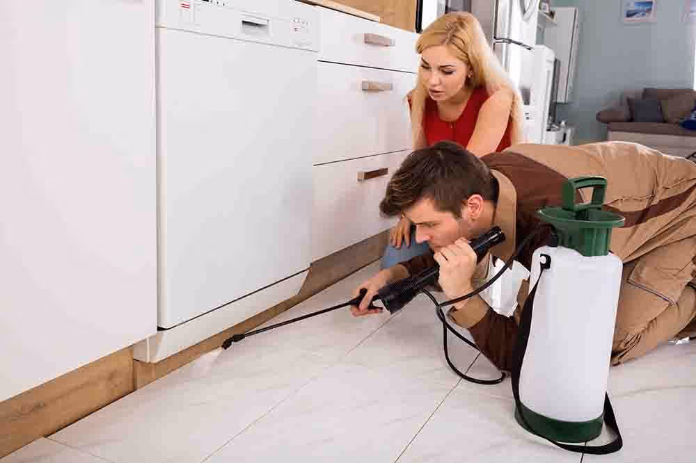 affordable residential pest control langley