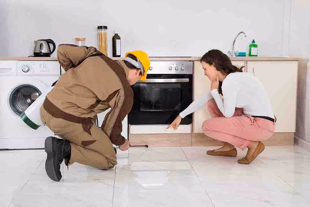 best residential pest control langley