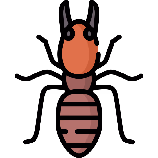 soldier termite