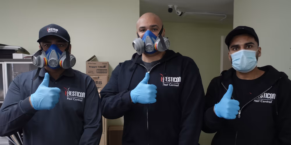 Pesticon pest control technicians providing professional pest control service in North Vancouver