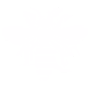 Bee & Wasp Removal