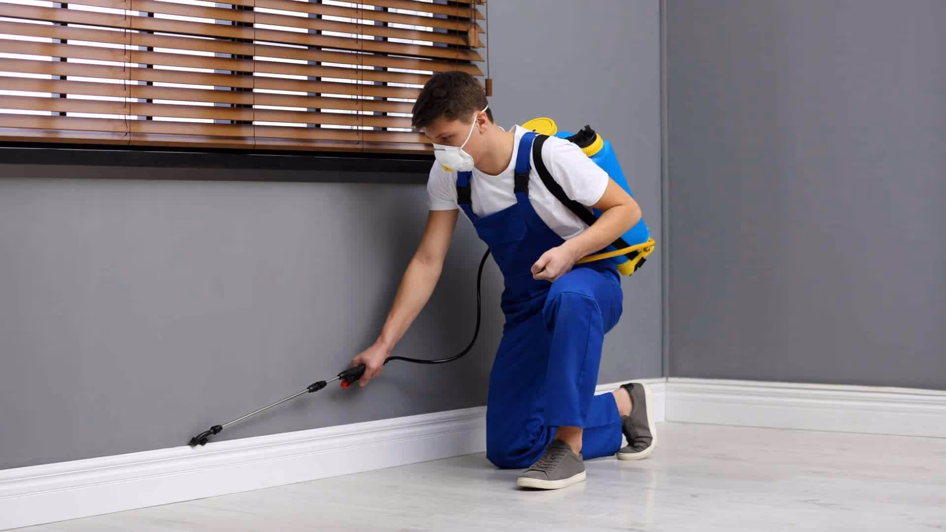 apartment cockroach control solutions