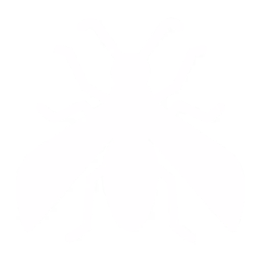 Hornet control Burnaby