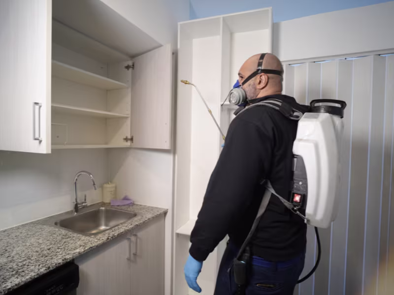 cost of spider control in vancouver