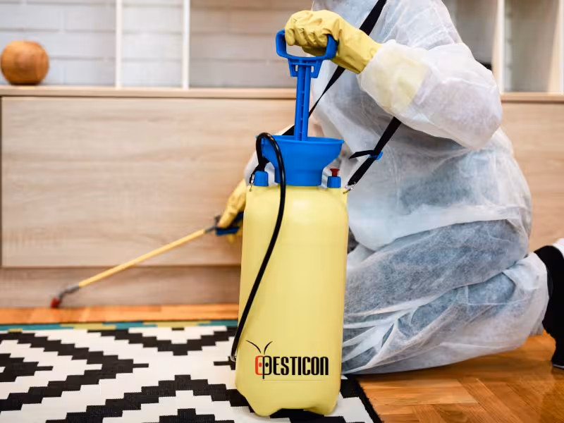 Cost of termite control