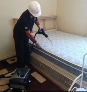 Modern chemical treatments for pest control 