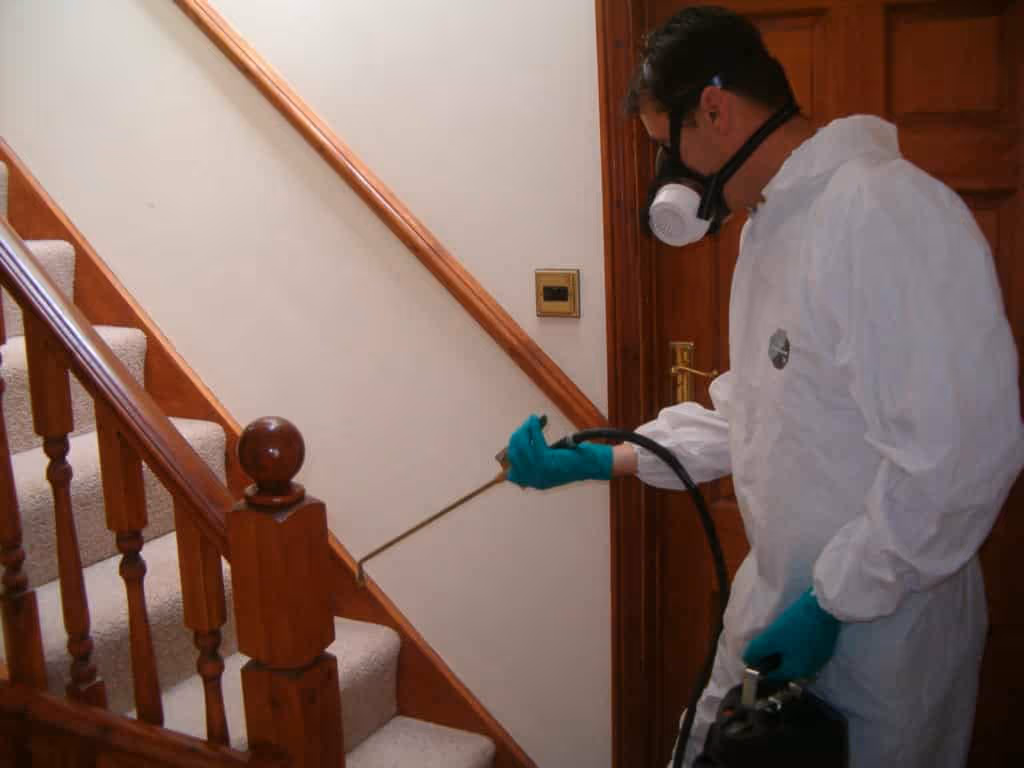 Why Professional Pest Control Is Very Safe