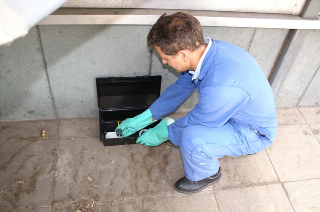 What to Look for When Hiring a Pest Control Expert in Vancouver