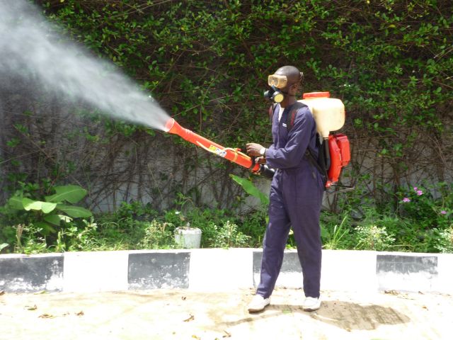 Why Professional Pest Control Is Very Safe