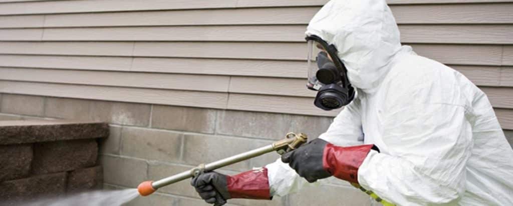 DIY Pest Control vs. Professional Extermination