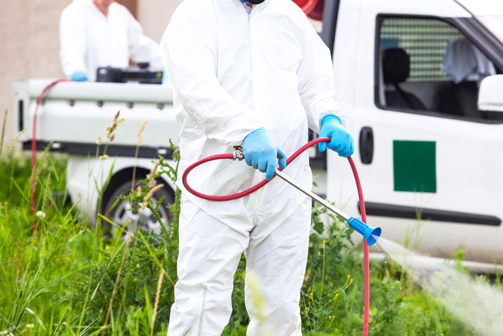 Pest Control Treatment