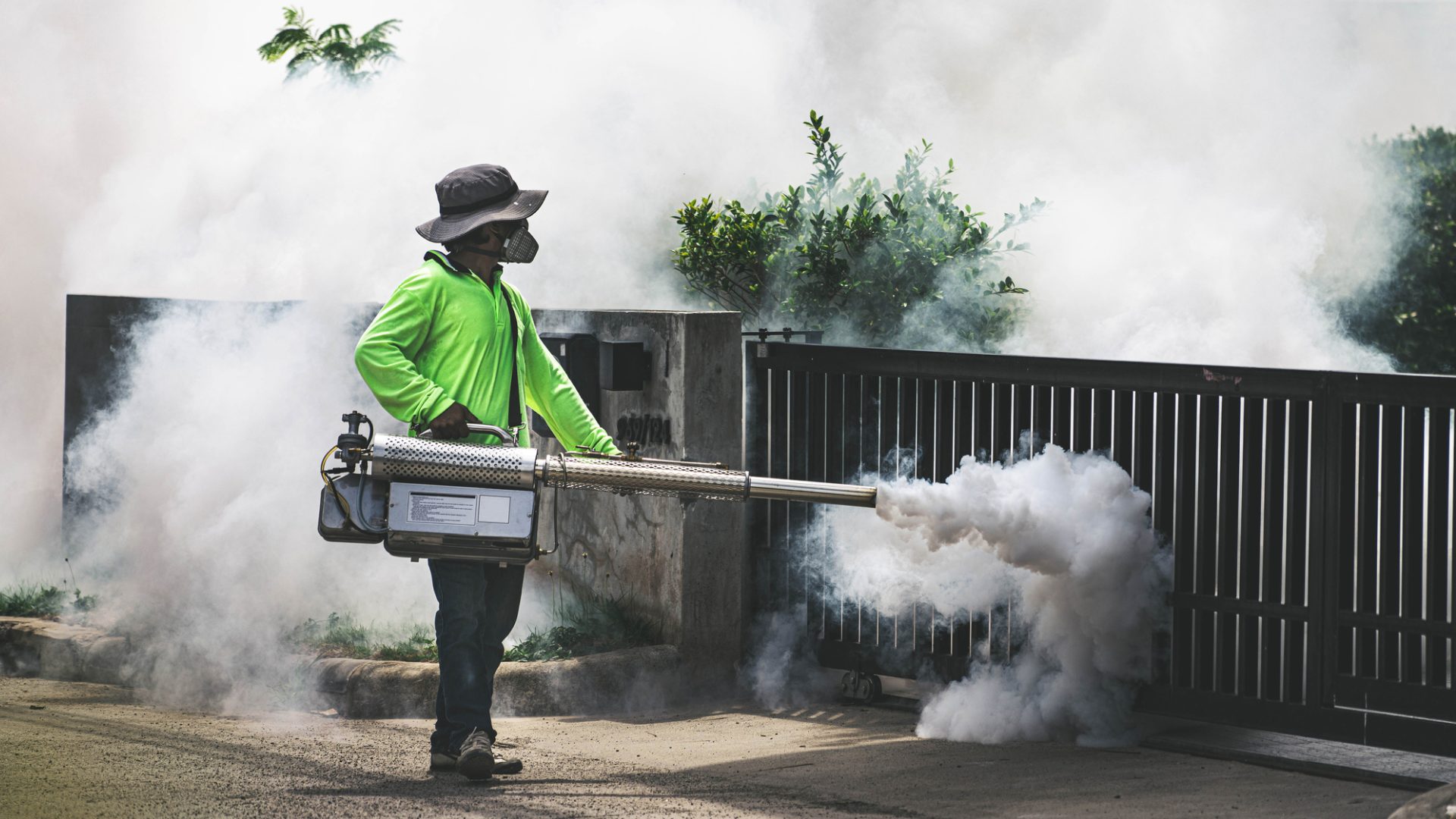 Why Residential Pest Control Is Important For Your Home in Vancouver?