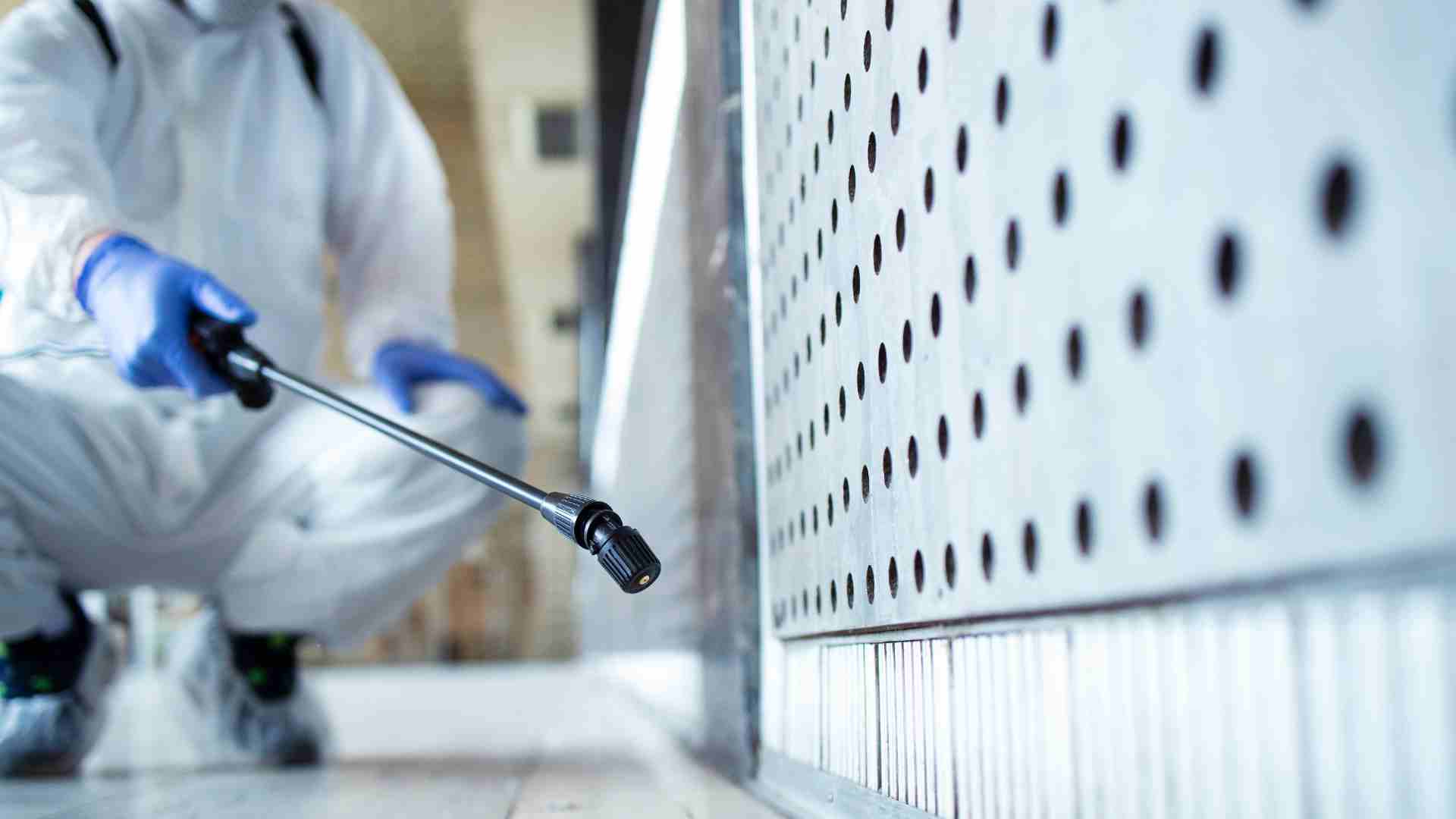 Industrial Pest Control 101 What You Need to Know