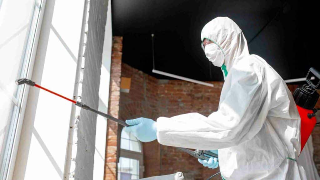 protecting your business the benefits of professional industrial pest control services
