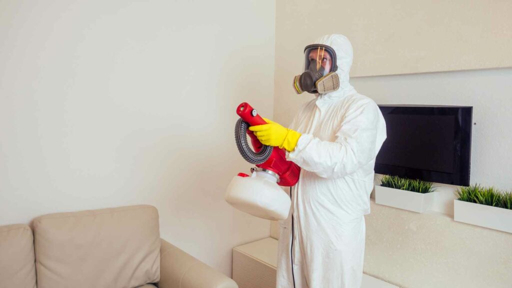 why your movie theater in vancouver needs pest control services
