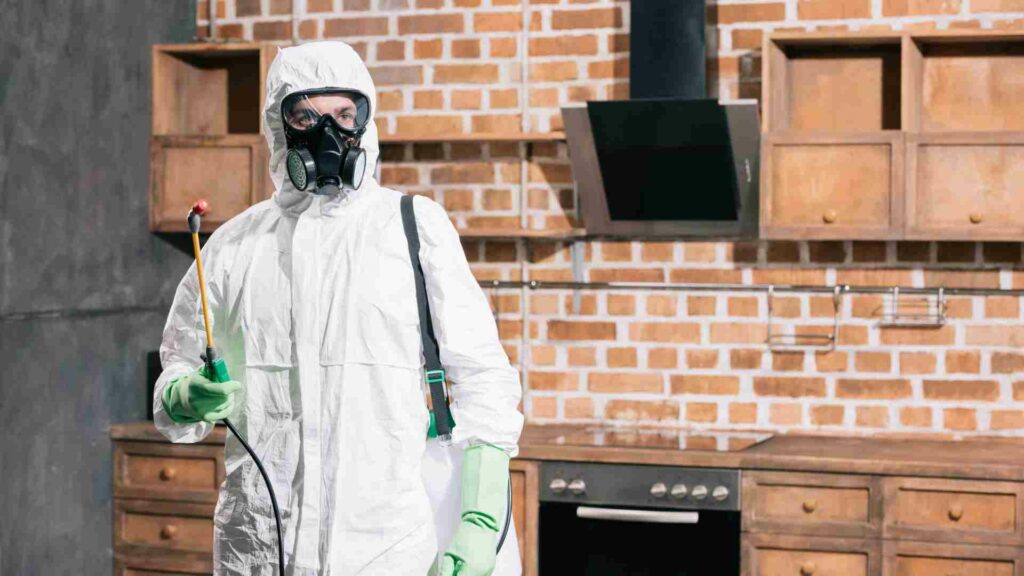 how to implement effective pest control in a manufacturing facility