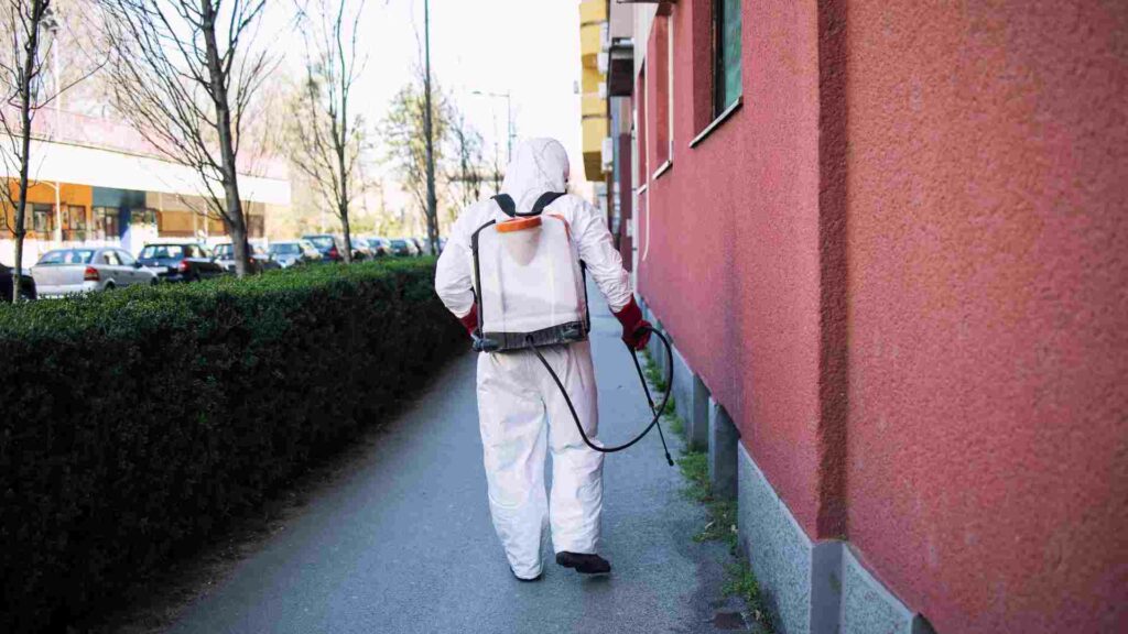 the benefits of diatomaceous earth for pest control