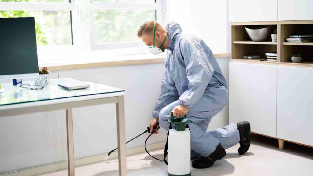 the importance of pest control for educational facilities and schools