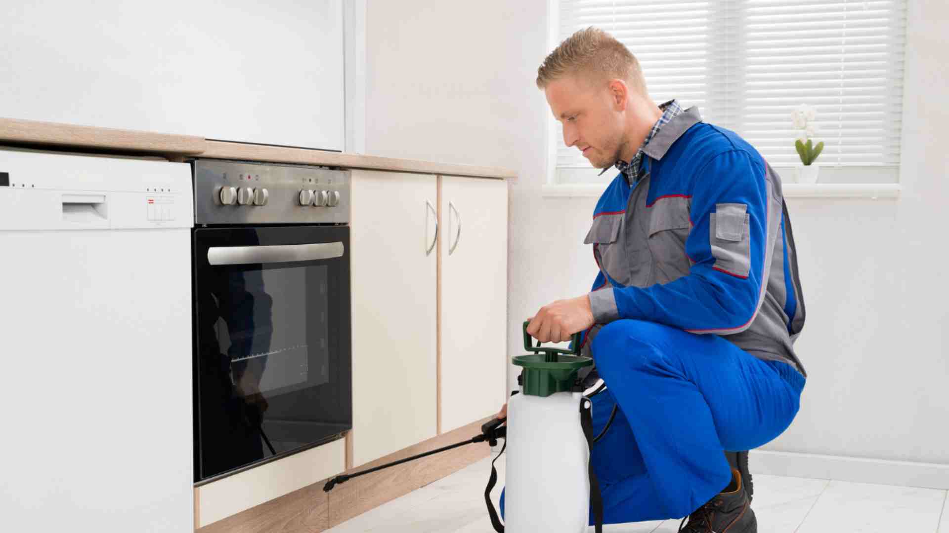 How To Use Coffee Grounds For Pest Control