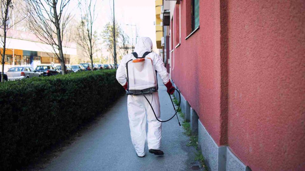 diatomaceous earth vs chemical pesticides which is the better choice