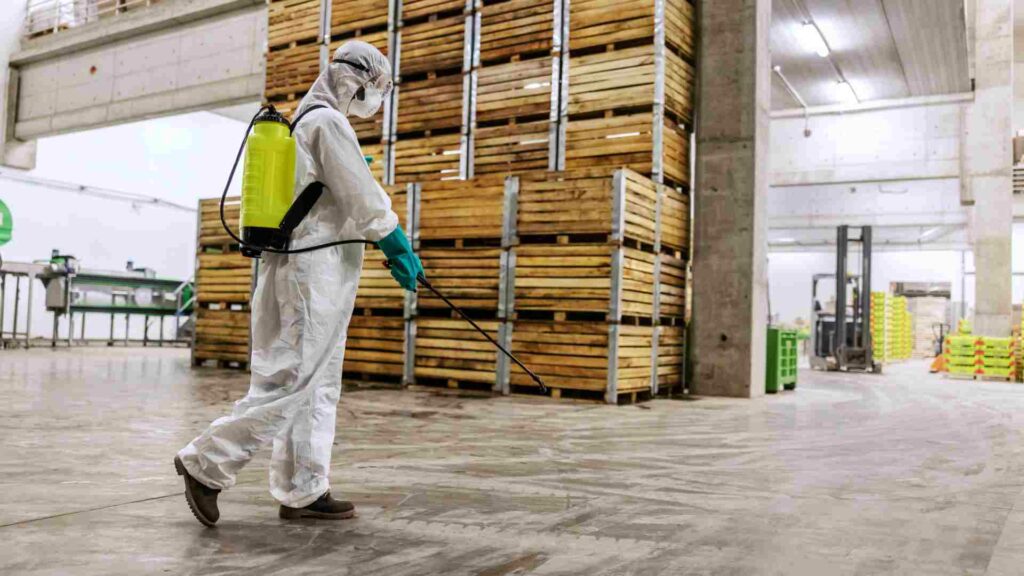 the importance of pest control in the food industry ensuring safety and compliance
