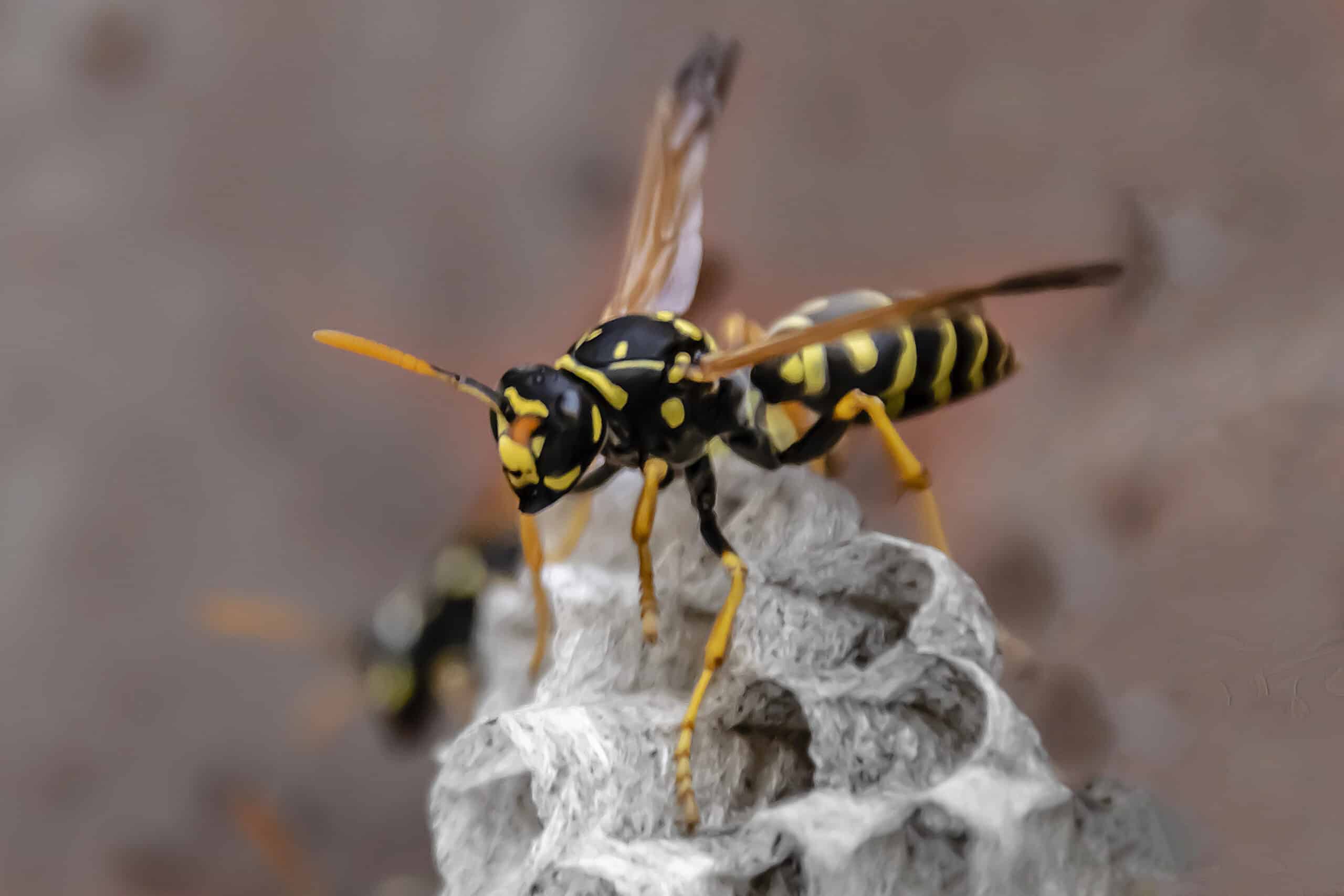 depositphotos 333076706 xl