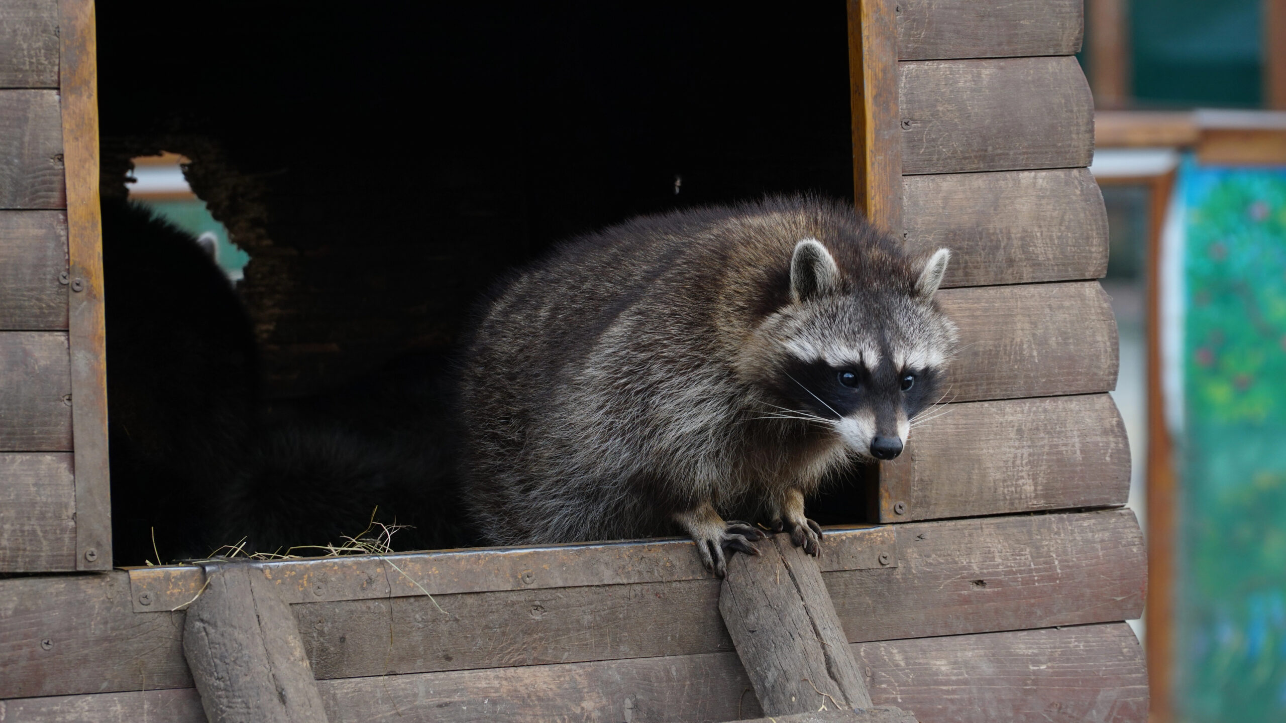 depositphotos 625039038 xl