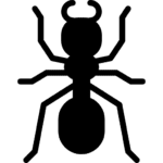 ant (7)