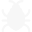 big bug (1)