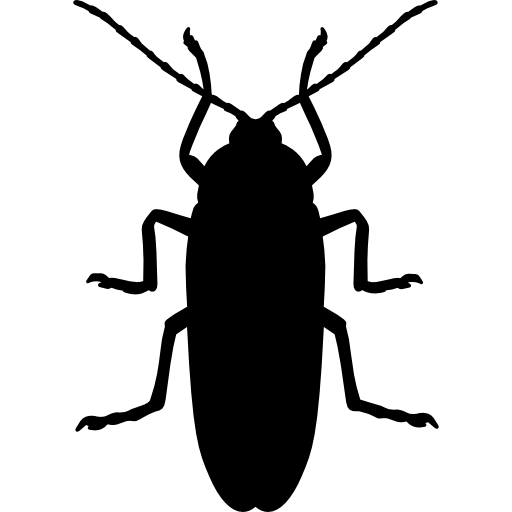 cockroach silhouette