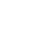 insect (12)