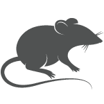 mice icon