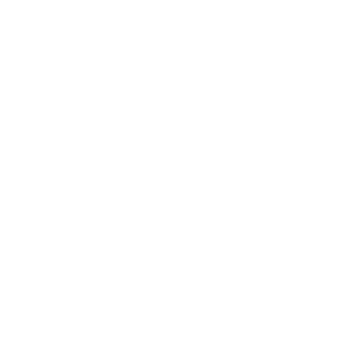 racoon (3)