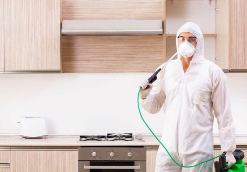 can you get sick from bed bugs the truth for vancouver residents