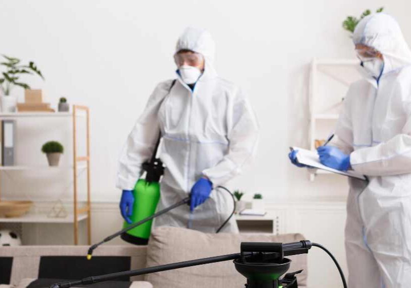 common mistakes homeowners make when trying to get rid of carpenter ants